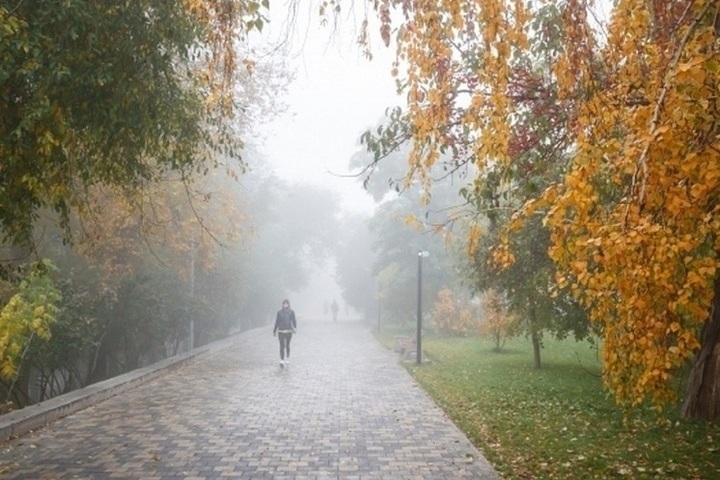 Синоптики обещают 21 октября в Волгоградской области дожди и до +12 ℃