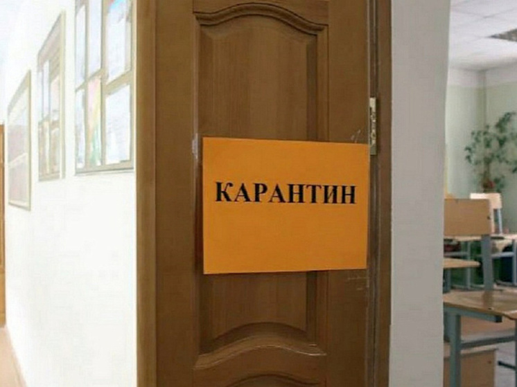 В пяти образовательных учреждениях Чукотки введут карантин из-за ОРВИ