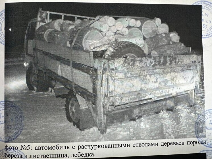 Грузовик и бензопилу конфисковали у «черного лесоруба» в Забайкалье