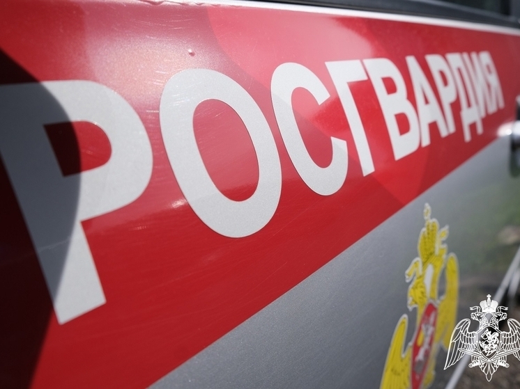 Курские росгвардейцы за неделю совершили 279 выездов по сигналу «тревога»