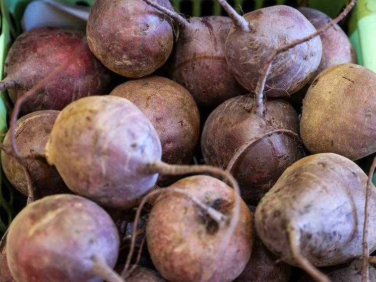 «Роскачество»: свеклу нужно проверять на твердость, гладкую кожу и свежесть хвостика
