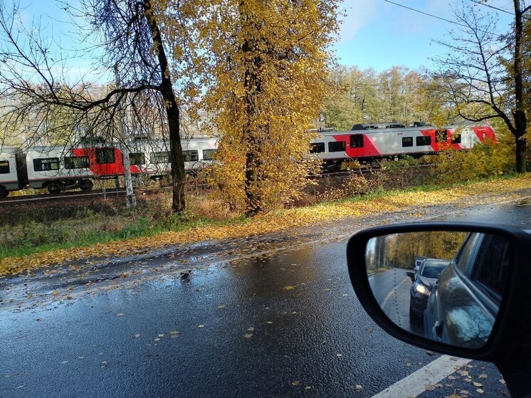 В поезде «Луга — Петербург» поймали великовозрастного «зайца»