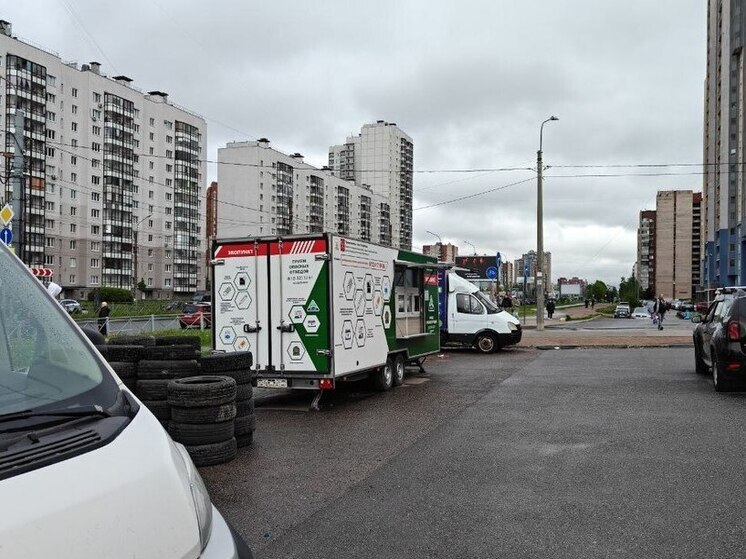 Экологи вывезли из Петербурга больше 56 тонн опасностей за семь дней