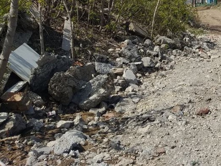 В Саратове на Кумысной поляне ликвидируют свалку
