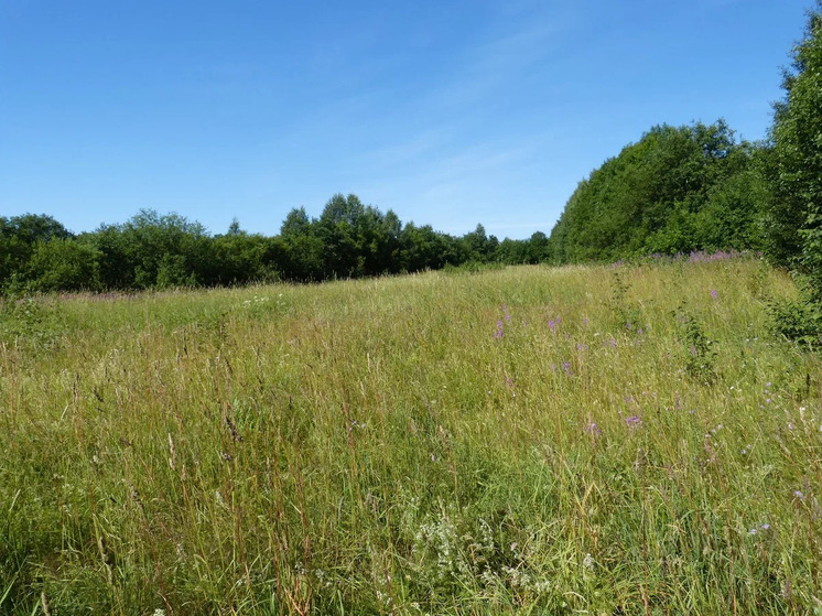 В казну Карелии поступило 15 млн рублей в качестве арендной платы за землю