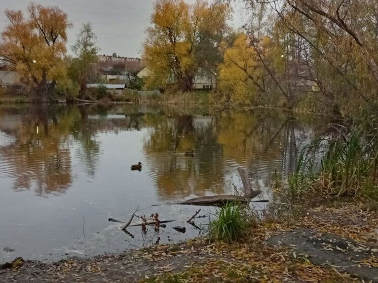 На закачку воды в водоёмы области направят более 127 млн рублей