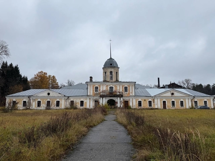 Заброшенные усадьбы Владимирской области ждут своих инвесторов