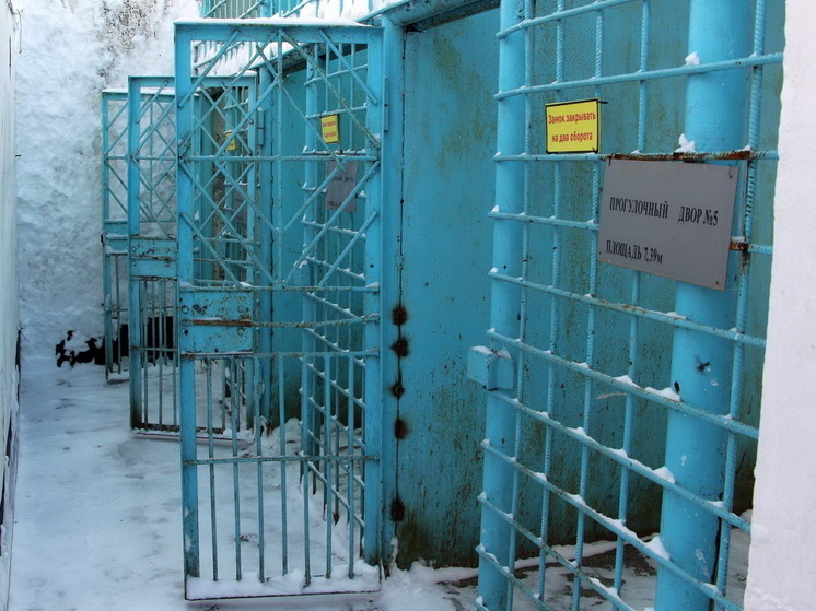 Заключенного колонии в Марий Эл обвиняют в реабилитации нацизма