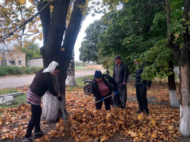 В Михайловке провели субботник в честь годовщины освобождения поселка