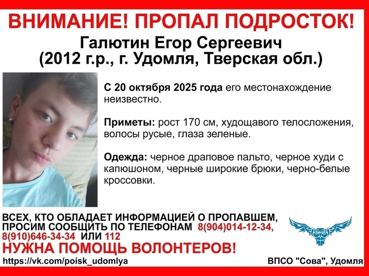 Подросток во всём черном пропал в Тверской области