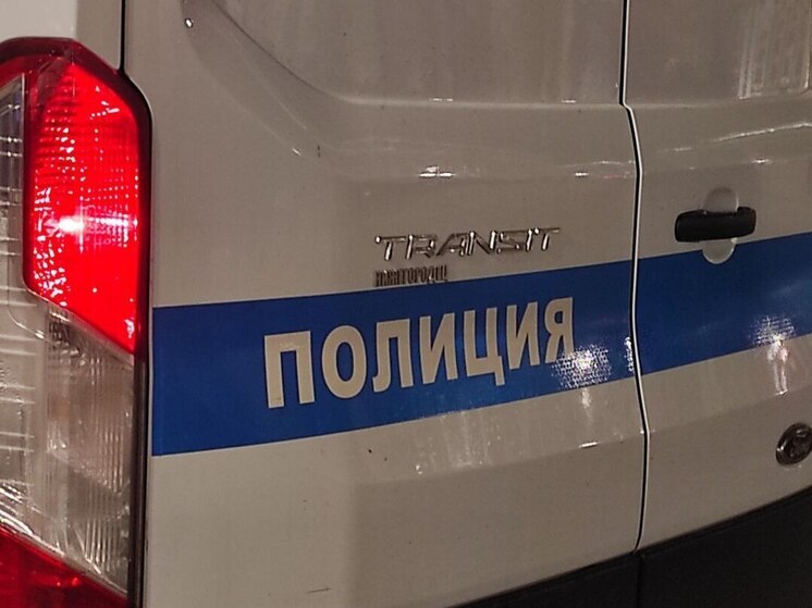 Двух жителей Гатчинского округа поймали на месте грабежа в Петербурге