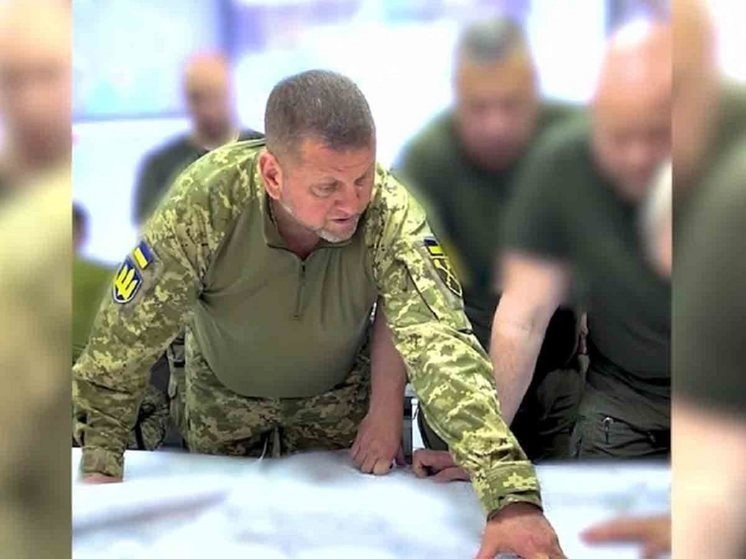 Залужный: Запад не даст Украине гарантий в выполнении обещаний о поддержке