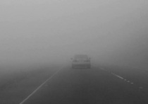 21 октября на дорогах в Курганской области образовался туман