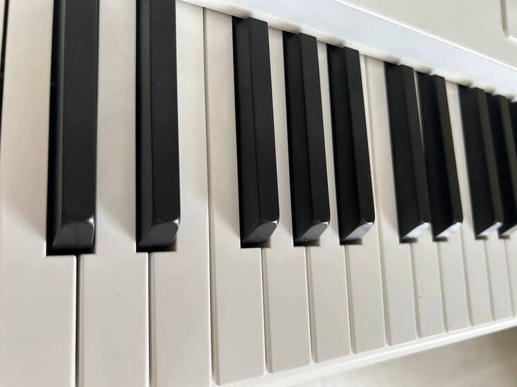 Ученик из Георгиевска стал победителем международного конкурса «Элегия осени»