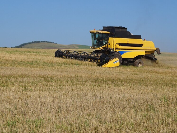 Бейский район стал лидером уборочной кампании в Хакасии