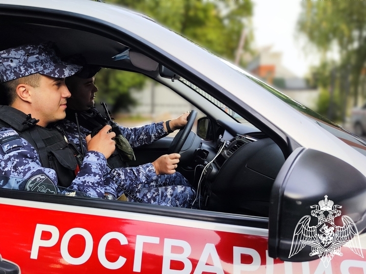 Брянские росгвардейцы задержали грабительницу магазина