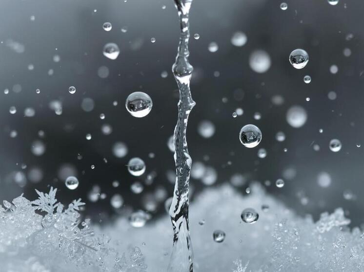 Снег с дождями испытает псковичей на прочность в конце октября