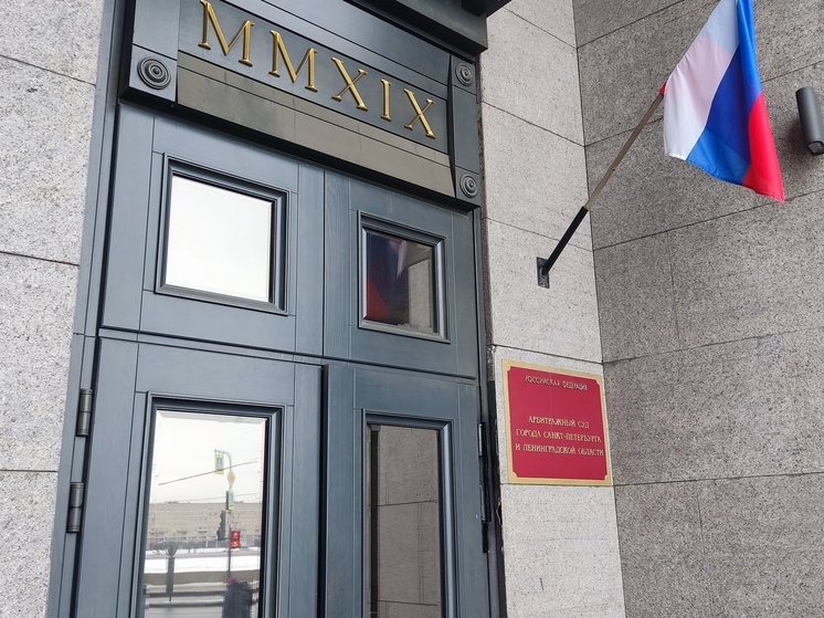 Суды Петербурга не дали заработать банкам на горожанах 15,4 млрд рублей