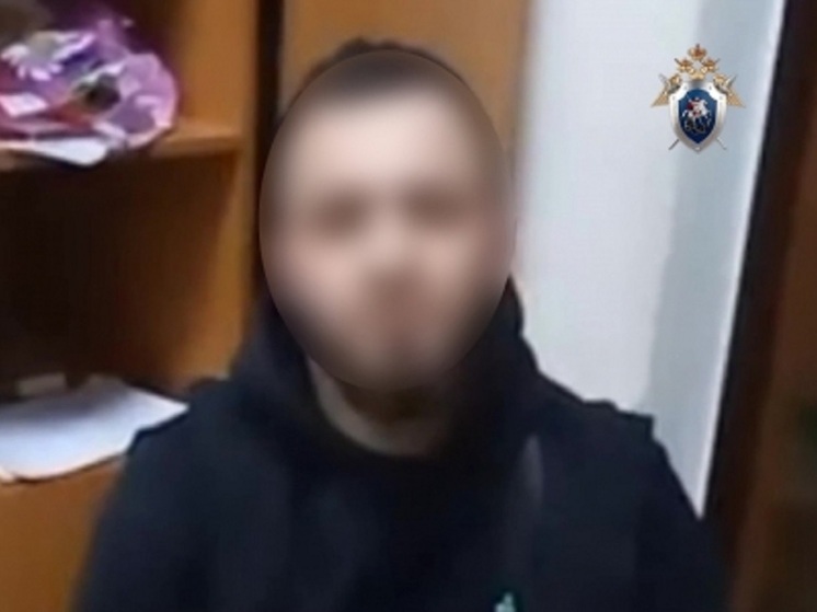 Задержали екатеринбуржца, подозреваемого в избиении ребенка, его мамы и бабушки