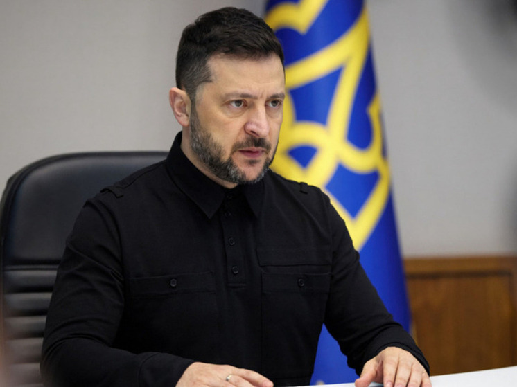 Евродепутат Шошоакэ пригрозила Зеленскому расправой в случае визита в Румынию