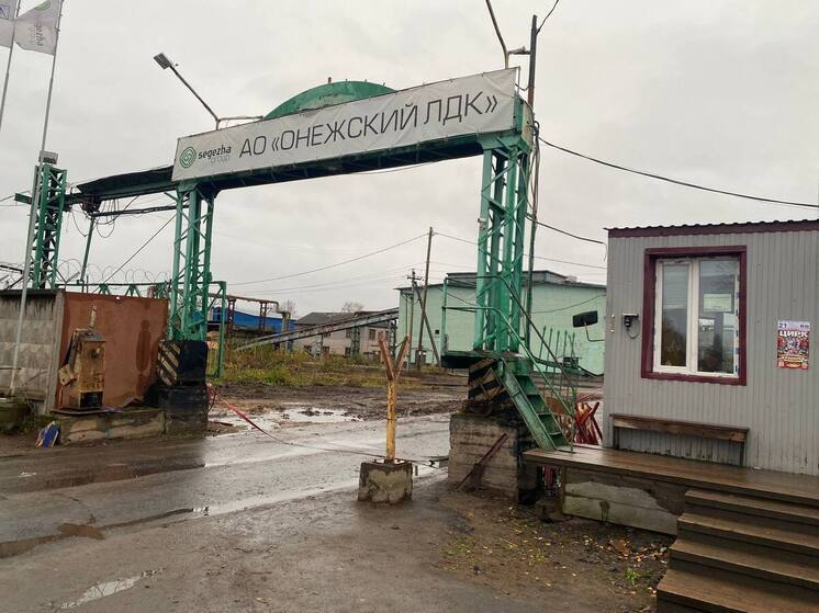Плотник Онежского ЛДК получил тяжёлую травму на производстве