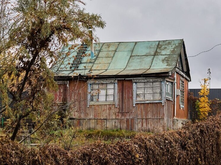 Осенние хлопоты: как подготовить пензенский сад к морозам