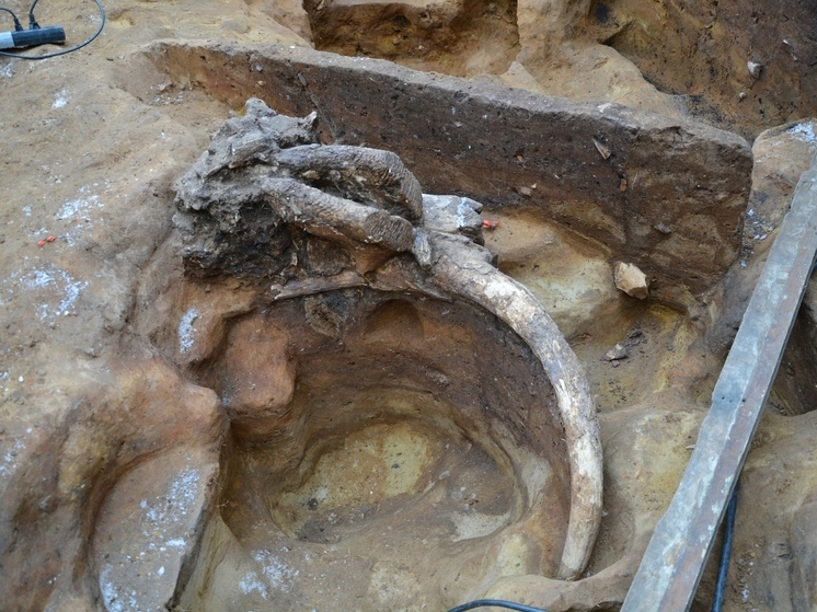 В подмосковном Зарайске нашли древние тайники охотников на мамонтов