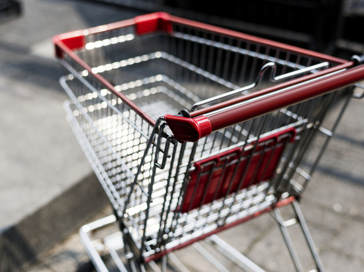 В Брянске сотрудники полиции задержали похитителя продуктовой тележки