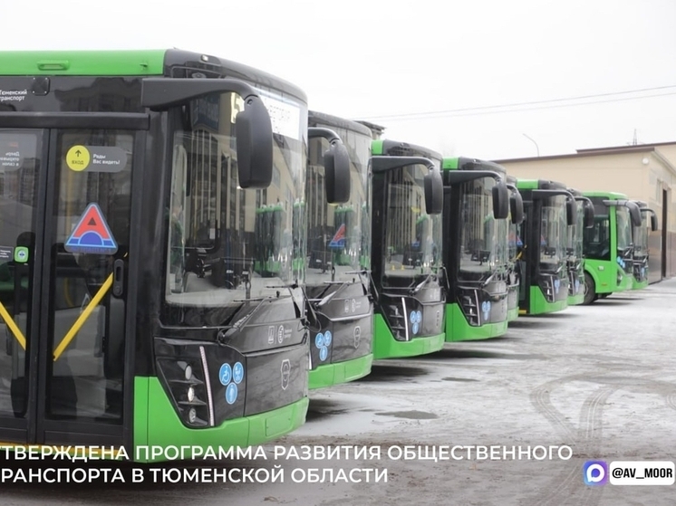 Транспорт Тюменской области ждёт глобальная модернизация