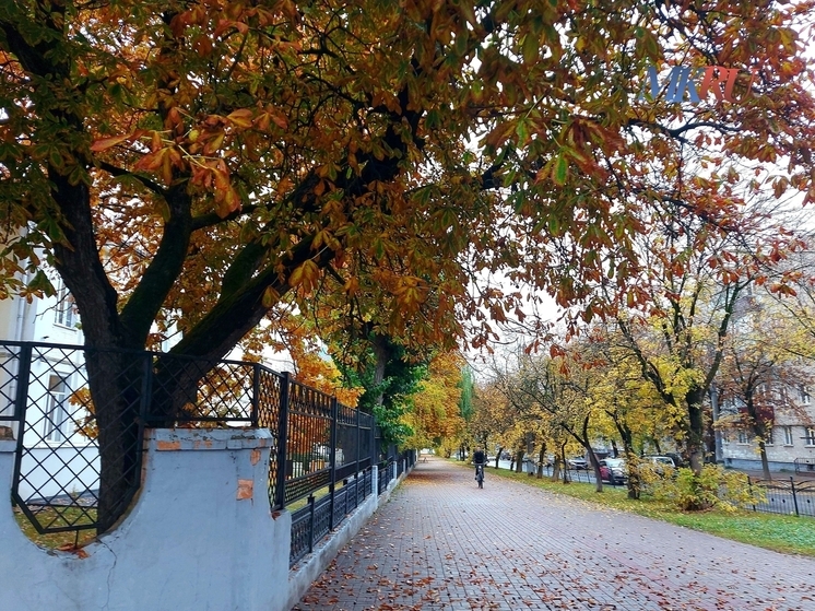 Жителей Калужского региона ждёт ночной туман