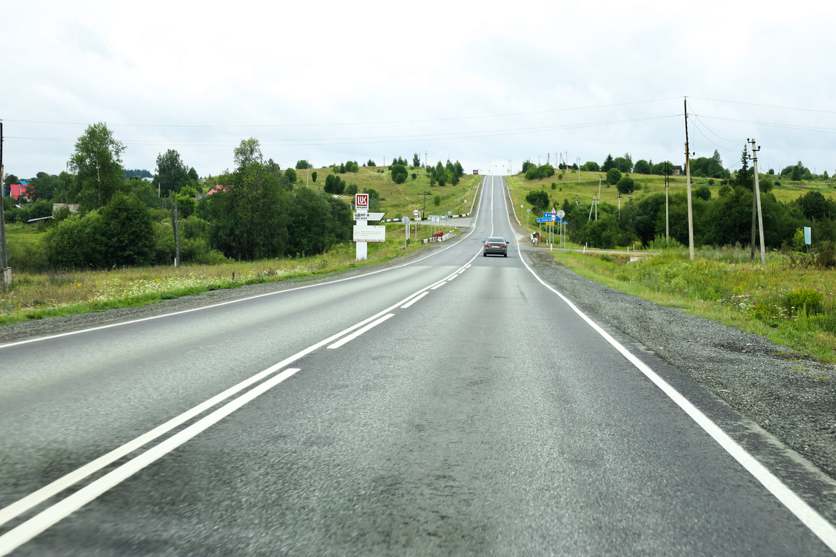 Из-за строительства трассы на Урале звери начали заходить в города