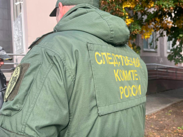 В Липецкой области завершено следствие по делу о смертельном ранении ножом