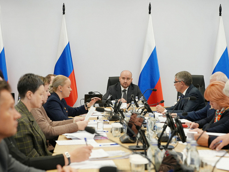 Дмитрий Миляев принял участие в итоговом заседании рабочей группы по подготовке материалов к заседанию Совета при Президенте РФ по спорту