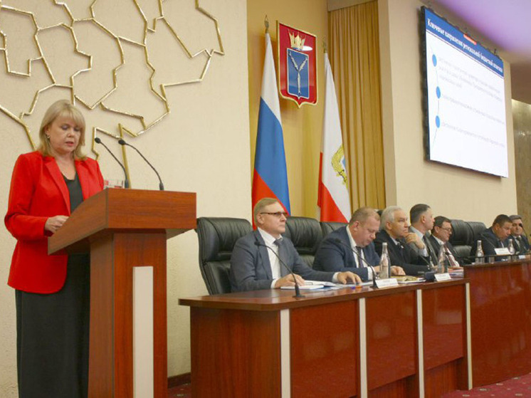 Саратовские чиновники представили проект бюджета на ближайшие три года