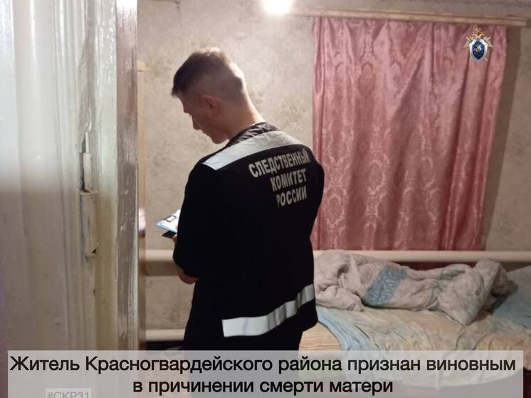 Белгородцу присудили 8 лет строгого режима за смерть матери