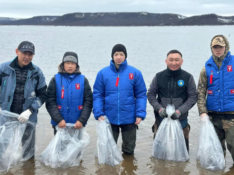 200 тысяч личинок чира выпустили в реку Анабар в Якутии