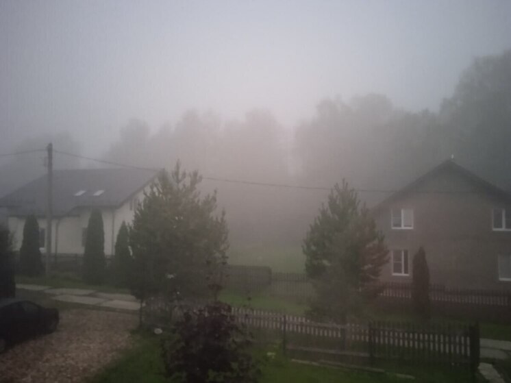 В Подмосковье объявили «желтый» уровень погодной опасности из-за тумана