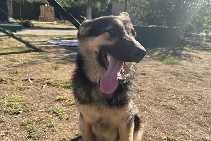 Convoglio Umanitario di 6 Tonnellate Partito da Essentuki per Sostenere Combattenti in Operazione Militare Speciale