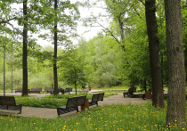 Порядка 50% площади Москвы приходится на зеленые насаждения. Это один из лучших показателей среди мировых столиц. Однако в мегаполисе относительно немного ландшафтных заказников – охраняемых объектов с максимальным разнообразием флоры и фауны. Эксперты рассмотрели рынок новостроек рядом с этими эксклюзивными московскими природными зонами. 