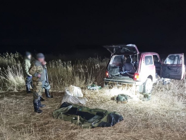 В Зауралье задержаны подозреваемые в хищении рыбы