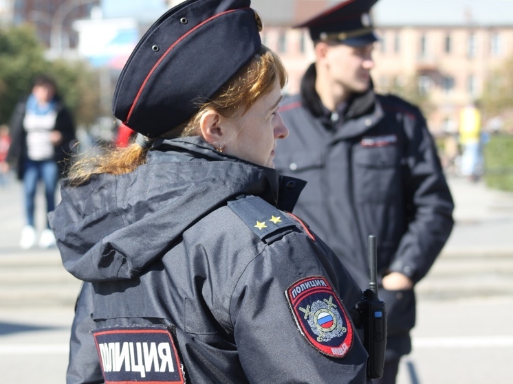 В Ефремове полицейские установили подозреваемого в краже из магазина