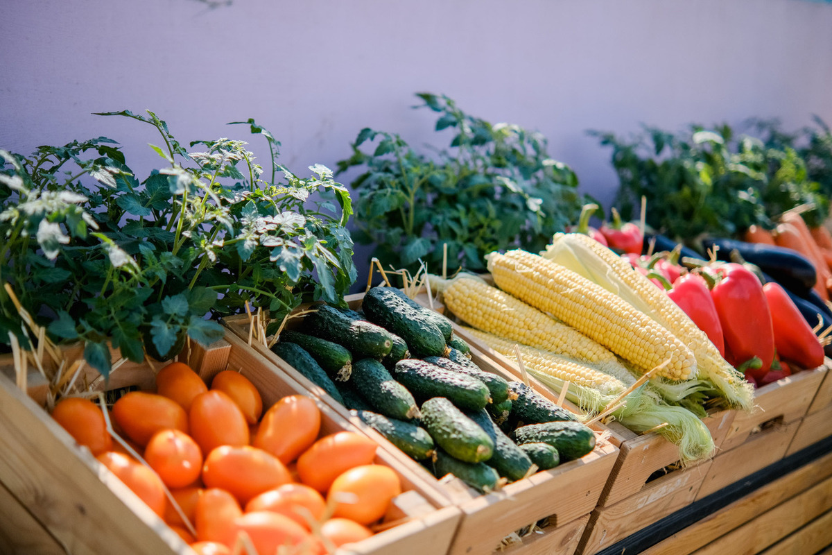 Гастроэнтеролог из Волгограда назвала идеальный прием пищи