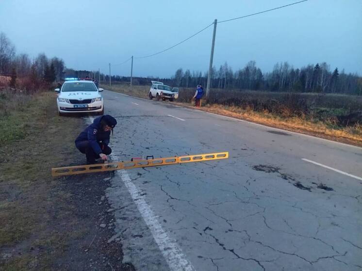 В Серовском районе в ДТП погиб велосипедист