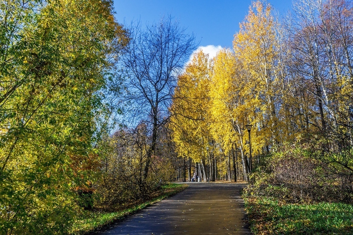 Солнечный Петрозаводск попал в объектив камеры фотографа из Петрозаводска