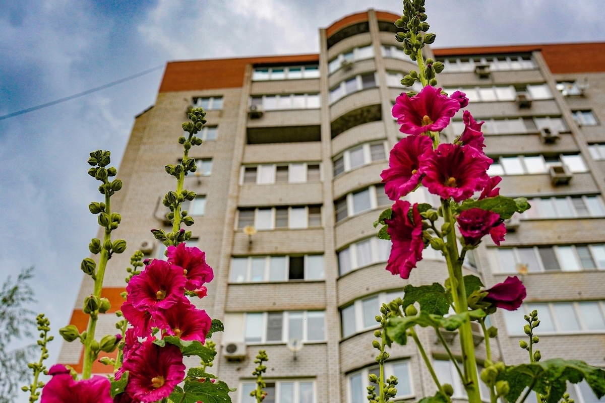 Эксперт ЖКХ Бондарь объяснил тулякам, как законно наказать соседей за хамство