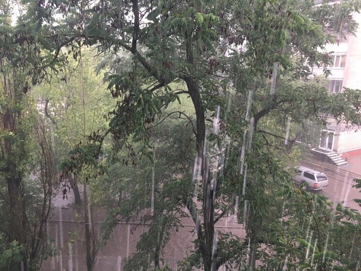 В Воронежской области будет безветренно и мокро