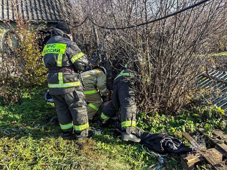 В зауральской Шумихе женщина упала в старый колодец в огороде