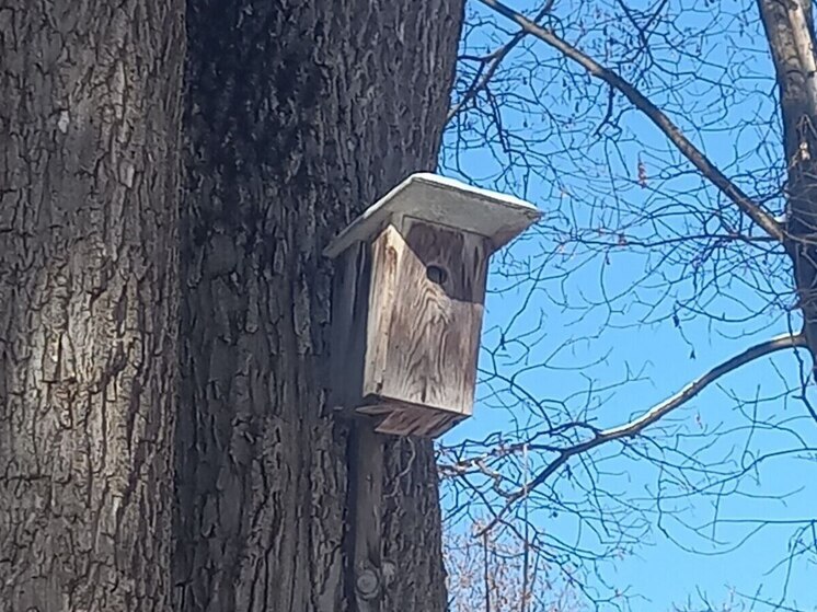 Ставропольцы присоединились к всероссийской переписи воробьёв
