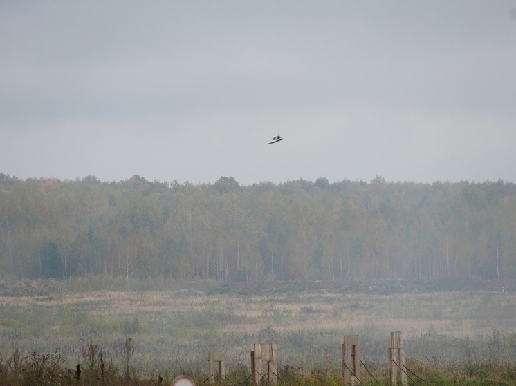 Ночью 22 октября над Тульской областью сбит один беспилотник