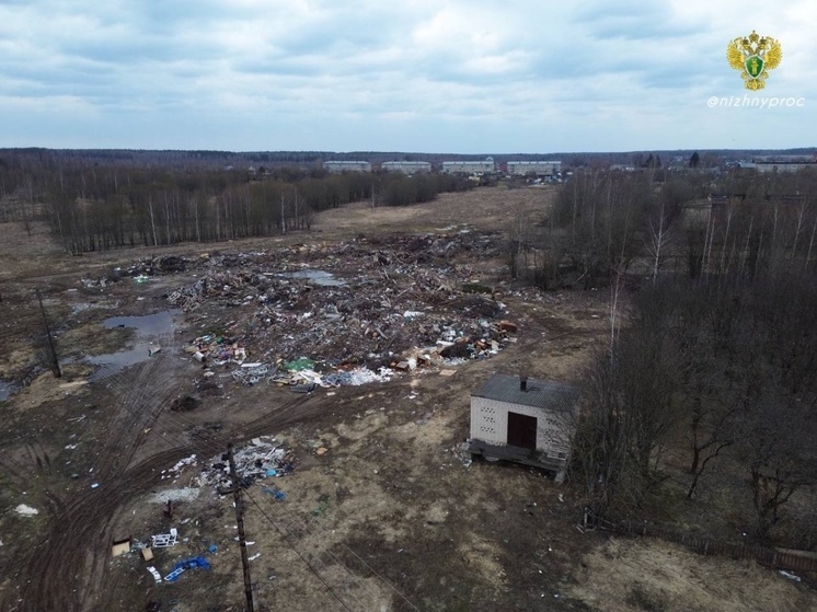 Минус одна свалка в регионе. Где стало чище?